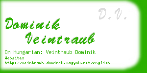 dominik veintraub business card